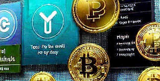 The Gen Z Illusion: Lower Leverage, Higher Opacity, and the Tokenized Stock Trap The Gen Z Illusion: Lower Leverage, Higher Opacity, and the Tokenized Stock Trap